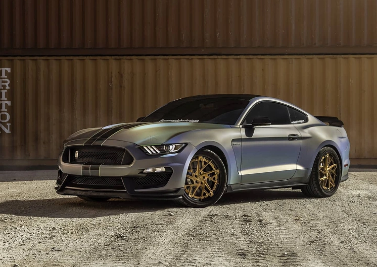 Paint Protection Film Layton